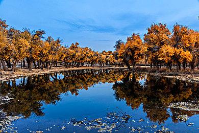 6月夏日游戏节确定将公布《真人快打1》实机演示